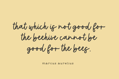 Honeyfarm Script Font Product Image 5