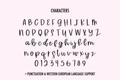 Honeylace Script Font Product Image 10