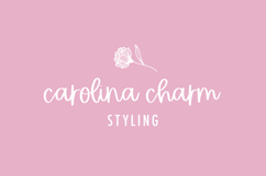 Honeylace Script Font Product Image 4