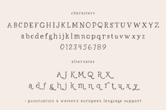 Honeyland Typewriter Serif Product Image 10