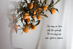 Honeylight Script Font Product Image 5