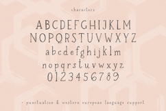 Honeywell Serif - A Handwritten Font Product Image 10