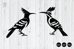 Hoopoe Bird SVG, Bird Silhouette SVG, Bird SVG Product Image 1
