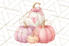Pink Pumpkin Clipart, Fall Breast Cancer PNG Product Image 3