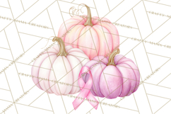 Pink Pumpkin Clipart, Fall Breast Cancer PNG Product Image 3