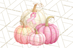 Pink Pumpkin Clipart, Fall Breast Cancer PNG Product Image 5