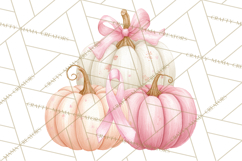 Pink Pumpkin Clipart, Fall Breast Cancer PNG Product Image 2