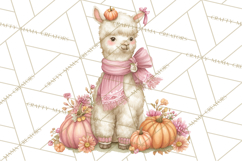 Pink Pumpkin Clipart, Fall Breast Cancer PNG Product Image 5