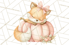 Pink Pumpkin Clipart, Fall Breast Cancer PNG Product Image 2