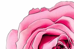 Floral Hope Png Pink Ribbon Sublimation Design Rose Flower Product Image 5