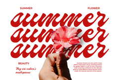 Hormuz - Bold Script Handwritten Streetwear Font Product Image 3
