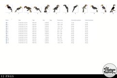 Hornbill Vintage Animal illustration Clip Art, Clipart Product Image 2