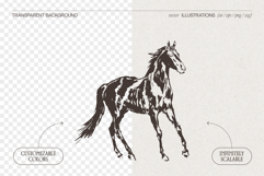 Galloping Horse Spirit Sketches Product Image 2