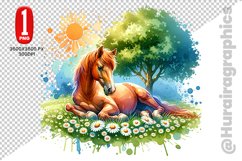 Cute Horse Clipart - PNG File Product Image 1