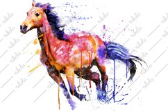 Horse Watercolor Sublimation Clipart PNG JPG Product Image 1