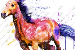 Horse Watercolor Sublimation Clipart PNG JPG Product Image 2