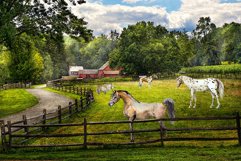 Equestrian Watercolor Clip Art Set Product Image 7