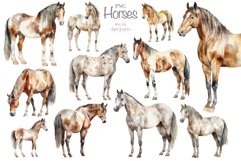 Horses watercolour clipart Product Image 4