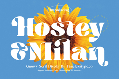 Hostey &amp; Milan - Groovy Serif Display Product Image 1