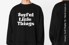 Hostey &amp; Milan - Groovy Serif Display Product Image 12