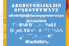 Hostey &amp; Milan - Groovy Serif Display Product Image 18