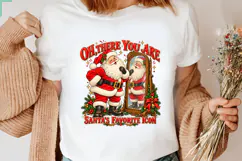 Hot and Holly We're a Risky Mix Funny Santa Roasting Product Image 3