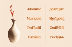 Hot Caramel Delight - Bold Serif Font Product Image 9