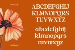 Hot Caramel Delight - Bold Serif Font Product Image 18