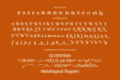 Hot Caramel Delight - Bold Serif Font Product Image 19