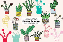 House Plants Color, Cactus, Flower Pot, Hanging Indoor Plant Product Image 1