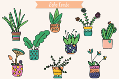 House Plants Color, Cactus, Flower Pot, Hanging Indoor Plant Product Image 6