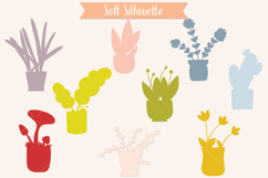 House Plants Color, Cactus, Flower Pot, Hanging Indoor Plant Product Image 8