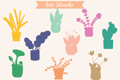 House Plants Color, Cactus, Flower Pot, Hanging Indoor Plant Product Image 9