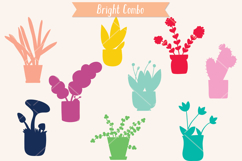 House Plants Color, Cactus, Flower Pot, Hanging Indoor Plant Product Image 10