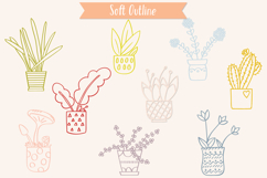 House Plants Color, Cactus, Flower Pot, Hanging Indoor Plant Product Image 11