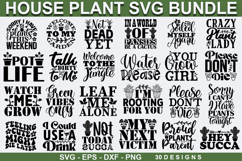 House Plant SVG Bundle - , Plant Svg, Plant Quotes Svg Desig Product Image 1