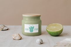 House Plants Color, Cactus, Flower Pot, Hanging Indoor Plant Product Image 3