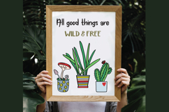 House Plants Color, Cactus, Flower Pot, Hanging Indoor Plant Product Image 4