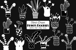 House Plants White, Cactus, Flower Pot, Hanging Indoor Plant Product Image 1