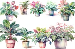 10 House Plants watercolor Clipart bundle, Houseplants Png Product Image 2