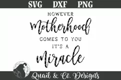 Farmhouse Sign SVG, However Motherhood Comes SVG Product Image 2