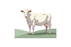 White dairy cow standing on green pasture vector illustratio Product Image 1