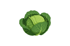 Green cabbage vegetable fresh natural healthy organic food i Product Image 1