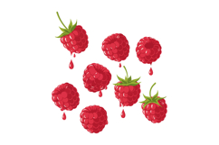 Red Raspberry Fruit with Green Stems and Dripping Juice Vect Product Image 1