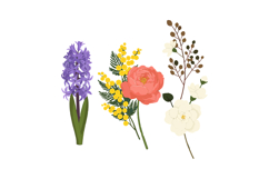 Colorful floral bouquet with purple hyacinth yellow mimosa p Product Image 1