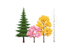 Four Trees Featuring Pine, Cherry Blossom, Yellow Leaf, and Product Image 1