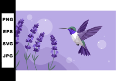 Hummingbird flying near purple lavender flowers vector illus Product Image 1