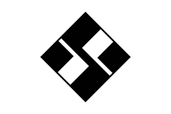 HS SH Logo Design Product Image 1