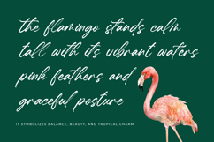 Hugetta Amphals Elegant Brush Font Product Image 4