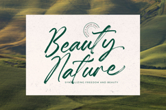 Hugetta Amphals Elegant Brush Font Product Image 6